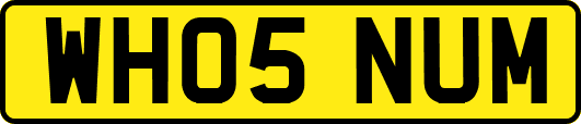 WH05NUM