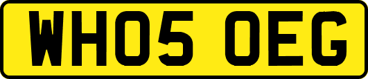 WH05OEG