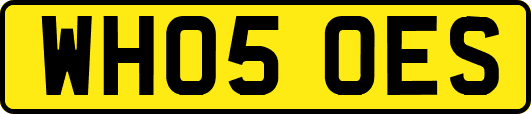 WH05OES