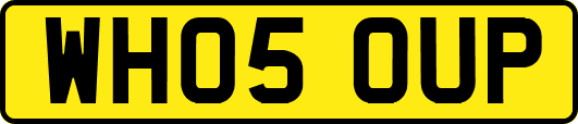 WH05OUP