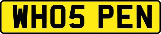 WH05PEN