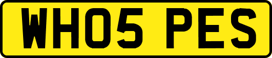 WH05PES