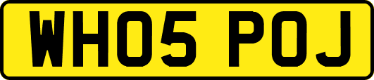 WH05POJ