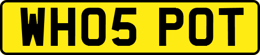 WH05POT