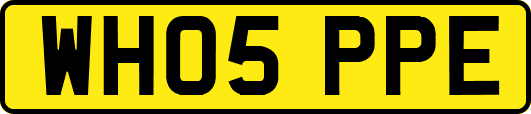 WH05PPE