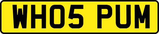 WH05PUM