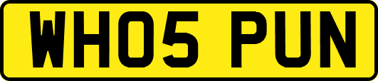 WH05PUN