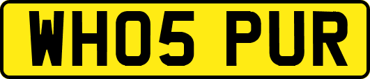 WH05PUR