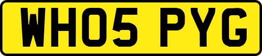 WH05PYG