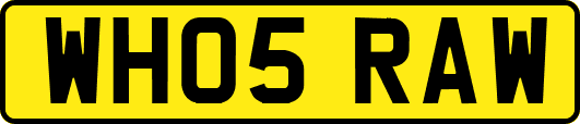 WH05RAW