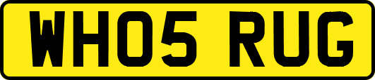 WH05RUG