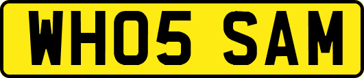 WH05SAM