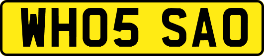WH05SAO