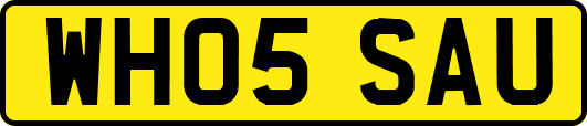 WH05SAU