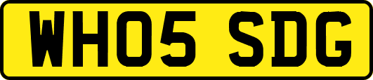 WH05SDG