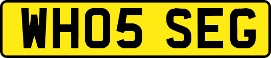 WH05SEG