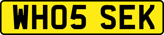 WH05SEK