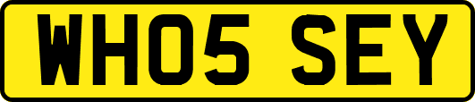 WH05SEY