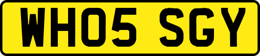 WH05SGY