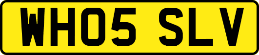 WH05SLV