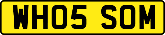 WH05SOM