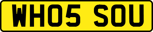 WH05SOU