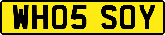 WH05SOY