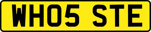 WH05STE