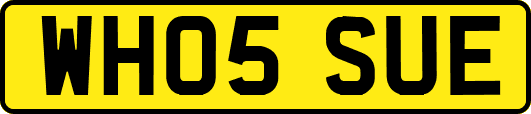 WH05SUE