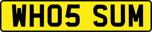 WH05SUM