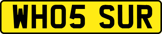 WH05SUR