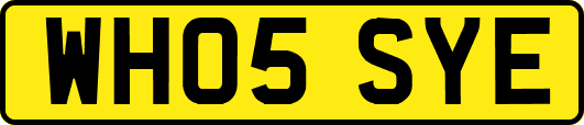 WH05SYE