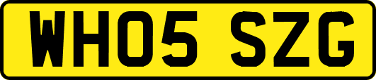 WH05SZG