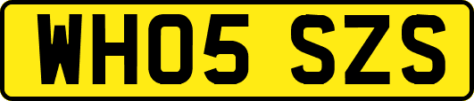 WH05SZS