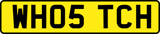WH05TCH