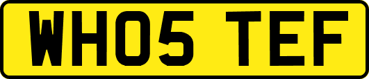 WH05TEF