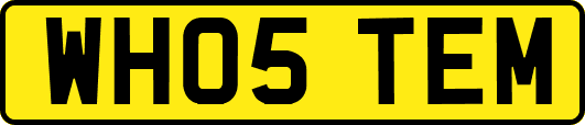 WH05TEM