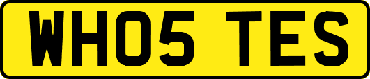 WH05TES