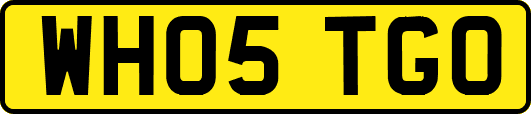 WH05TGO