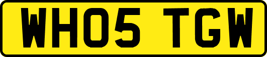 WH05TGW