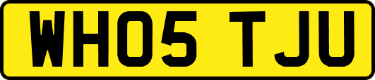 WH05TJU