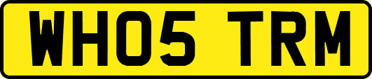 WH05TRM