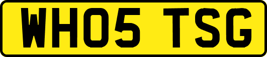 WH05TSG