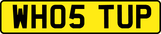 WH05TUP