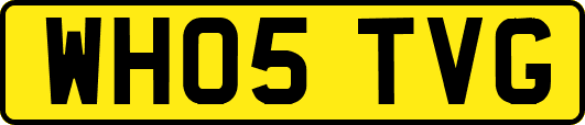 WH05TVG