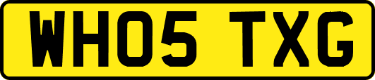 WH05TXG