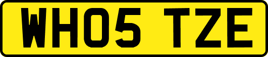 WH05TZE