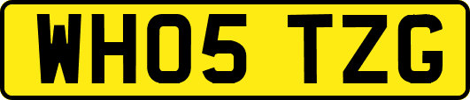 WH05TZG
