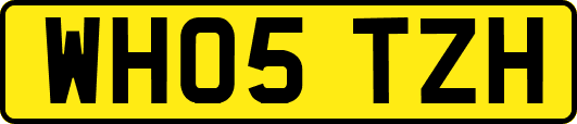 WH05TZH