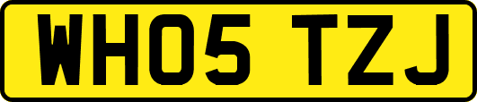 WH05TZJ